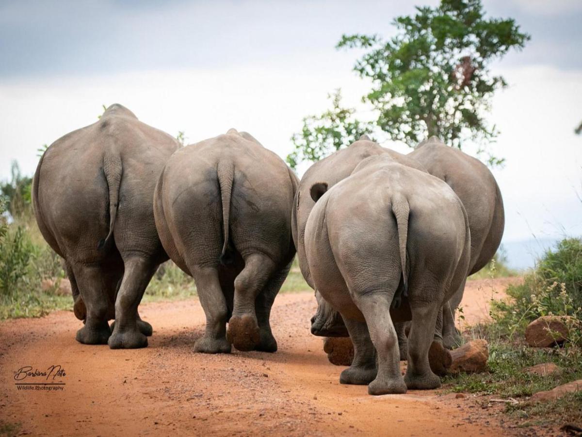Elephants Crossing 威尔吉旺登禁猎区 外观 照片